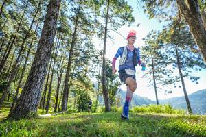 BIB: 
                            <button type="button" onclick="openModal(19279259)" class="btn btn-primary btn-sm float-right btn-popup" data-toggle="modal" data-target=".modal-high-quality">
                        <i class="fas fa-shopping-cart"></i> Add to Cart
                    </button>
                                            <button type="button" onclick="isThisMe(19279259, true)" class="btn btn-success btn-sm float-right btn-popup btn-isme hidden" data-toggle="tooltip" data-placement="bottom" title="นี่คือรูปของคุณใช่ไหม คลิกที่นี่เพื่อเอาเข้าอัลบั้ม">
                        <i class="fas fa-plus"></i> Add to album
                    </button>
                    <button type="button" onclick="isThisMe(19279259, false)" class="btn btn-warning btn-sm float-right btn-popup btn-isnotme hidden">
                        <i class="fas fa-ban"></i> Remove from album
                    </button>