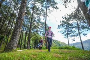 BIB: 
                            <button type="button" onclick="openModal(19290123)" class="btn btn-primary btn-sm float-right btn-popup" data-toggle="modal" data-target=".modal-high-quality">
                        <i class="fas fa-shopping-cart"></i> Add to Cart
                    </button>
                                            <button type="button" onclick="isThisMe(19290123, true)" class="btn btn-success btn-sm float-right btn-popup btn-isme hidden" data-toggle="tooltip" data-placement="bottom" title="นี่คือรูปของคุณใช่ไหม คลิกที่นี่เพื่อเอาเข้าอัลบั้ม">
                        <i class="fas fa-plus"></i> Add to album
                    </button>
                    <button type="button" onclick="isThisMe(19290123, false)" class="btn btn-warning btn-sm float-right btn-popup btn-isnotme hidden">
                        <i class="fas fa-ban"></i> Remove from album
                    </button>