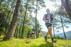 BIB: 
                            <button type="button" onclick="openModal(19287153)" class="btn btn-primary btn-sm float-right btn-popup" data-toggle="modal" data-target=".modal-high-quality">
                        <i class="fas fa-shopping-cart"></i> Add to Cart
                    </button>
                                            <button type="button" onclick="isThisMe(19287153, true)" class="btn btn-success btn-sm float-right btn-popup btn-isme hidden" data-toggle="tooltip" data-placement="bottom" title="นี่คือรูปของคุณใช่ไหม คลิกที่นี่เพื่อเอาเข้าอัลบั้ม">
                        <i class="fas fa-plus"></i> Add to album
                    </button>
                    <button type="button" onclick="isThisMe(19287153, false)" class="btn btn-warning btn-sm float-right btn-popup btn-isnotme hidden">
                        <i class="fas fa-ban"></i> Remove from album
                    </button>