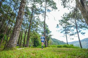 BIB: 
                            <button type="button" onclick="openModal(19288159)" class="btn btn-primary btn-sm float-right btn-popup" data-toggle="modal" data-target=".modal-high-quality">
                        <i class="fas fa-shopping-cart"></i> Add to Cart
                    </button>
                                            <button type="button" onclick="isThisMe(19288159, true)" class="btn btn-success btn-sm float-right btn-popup btn-isme hidden" data-toggle="tooltip" data-placement="bottom" title="นี่คือรูปของคุณใช่ไหม คลิกที่นี่เพื่อเอาเข้าอัลบั้ม">
                        <i class="fas fa-plus"></i> Add to album
                    </button>
                    <button type="button" onclick="isThisMe(19288159, false)" class="btn btn-warning btn-sm float-right btn-popup btn-isnotme hidden">
                        <i class="fas fa-ban"></i> Remove from album
                    </button>