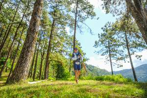 BIB: 
                            <button type="button" onclick="openModal(19291433)" class="btn btn-primary btn-sm float-right btn-popup" data-toggle="modal" data-target=".modal-high-quality">
                        <i class="fas fa-shopping-cart"></i> Add to Cart
                    </button>
                                            <button type="button" onclick="isThisMe(19291433, true)" class="btn btn-success btn-sm float-right btn-popup btn-isme hidden" data-toggle="tooltip" data-placement="bottom" title="นี่คือรูปของคุณใช่ไหม คลิกที่นี่เพื่อเอาเข้าอัลบั้ม">
                        <i class="fas fa-plus"></i> Add to album
                    </button>
                    <button type="button" onclick="isThisMe(19291433, false)" class="btn btn-warning btn-sm float-right btn-popup btn-isnotme hidden">
                        <i class="fas fa-ban"></i> Remove from album
                    </button>