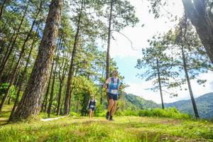 BIB: 
                            <button type="button" onclick="openModal(19291129)" class="btn btn-primary btn-sm float-right btn-popup" data-toggle="modal" data-target=".modal-high-quality">
                        <i class="fas fa-shopping-cart"></i> Add to Cart
                    </button>
                                            <button type="button" onclick="isThisMe(19291129, true)" class="btn btn-success btn-sm float-right btn-popup btn-isme hidden" data-toggle="tooltip" data-placement="bottom" title="นี่คือรูปของคุณใช่ไหม คลิกที่นี่เพื่อเอาเข้าอัลบั้ม">
                        <i class="fas fa-plus"></i> Add to album
                    </button>
                    <button type="button" onclick="isThisMe(19291129, false)" class="btn btn-warning btn-sm float-right btn-popup btn-isnotme hidden">
                        <i class="fas fa-ban"></i> Remove from album
                    </button>