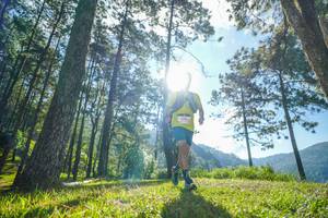 BIB: 
                            <button type="button" onclick="openModal(19279978)" class="btn btn-primary btn-sm float-right btn-popup" data-toggle="modal" data-target=".modal-high-quality">
                        <i class="fas fa-shopping-cart"></i> Add to Cart
                    </button>
                                            <button type="button" onclick="isThisMe(19279978, true)" class="btn btn-success btn-sm float-right btn-popup btn-isme hidden" data-toggle="tooltip" data-placement="bottom" title="นี่คือรูปของคุณใช่ไหม คลิกที่นี่เพื่อเอาเข้าอัลบั้ม">
                        <i class="fas fa-plus"></i> Add to album
                    </button>
                    <button type="button" onclick="isThisMe(19279978, false)" class="btn btn-warning btn-sm float-right btn-popup btn-isnotme hidden">
                        <i class="fas fa-ban"></i> Remove from album
                    </button>