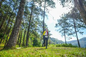 BIB: 
                            <button type="button" onclick="openModal(19283021)" class="btn btn-primary btn-sm float-right btn-popup" data-toggle="modal" data-target=".modal-high-quality">
                        <i class="fas fa-shopping-cart"></i> Add to Cart
                    </button>
                                            <button type="button" onclick="isThisMe(19283021, true)" class="btn btn-success btn-sm float-right btn-popup btn-isme hidden" data-toggle="tooltip" data-placement="bottom" title="นี่คือรูปของคุณใช่ไหม คลิกที่นี่เพื่อเอาเข้าอัลบั้ม">
                        <i class="fas fa-plus"></i> Add to album
                    </button>
                    <button type="button" onclick="isThisMe(19283021, false)" class="btn btn-warning btn-sm float-right btn-popup btn-isnotme hidden">
                        <i class="fas fa-ban"></i> Remove from album
                    </button>