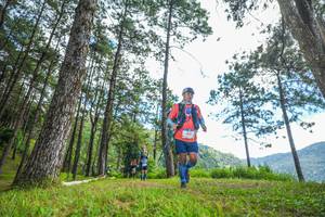 BIB: 1009
                            <button type="button" onclick="openModal(19288644)" class="btn btn-primary btn-sm float-right btn-popup" data-toggle="modal" data-target=".modal-high-quality">
                        <i class="fas fa-shopping-cart"></i> Add to Cart
                    </button>
                                            <button type="button" onclick="isThisMe(19288644, true)" class="btn btn-success btn-sm float-right btn-popup btn-isme hidden" data-toggle="tooltip" data-placement="bottom" title="นี่คือรูปของคุณใช่ไหม คลิกที่นี่เพื่อเอาเข้าอัลบั้ม">
                        <i class="fas fa-plus"></i> Add to album
                    </button>
                    <button type="button" onclick="isThisMe(19288644, false)" class="btn btn-warning btn-sm float-right btn-popup btn-isnotme hidden">
                        <i class="fas fa-ban"></i> Remove from album
                    </button>