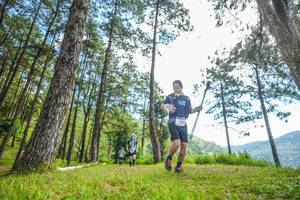 BIB: 
                            <button type="button" onclick="openModal(19288306)" class="btn btn-primary btn-sm float-right btn-popup" data-toggle="modal" data-target=".modal-high-quality">
                        <i class="fas fa-shopping-cart"></i> Add to Cart
                    </button>
                                            <button type="button" onclick="isThisMe(19288306, true)" class="btn btn-success btn-sm float-right btn-popup btn-isme hidden" data-toggle="tooltip" data-placement="bottom" title="นี่คือรูปของคุณใช่ไหม คลิกที่นี่เพื่อเอาเข้าอัลบั้ม">
                        <i class="fas fa-plus"></i> Add to album
                    </button>
                    <button type="button" onclick="isThisMe(19288306, false)" class="btn btn-warning btn-sm float-right btn-popup btn-isnotme hidden">
                        <i class="fas fa-ban"></i> Remove from album
                    </button>