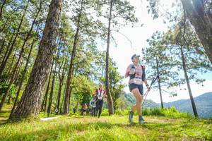 BIB: 
                            <button type="button" onclick="openModal(19289712)" class="btn btn-primary btn-sm float-right btn-popup" data-toggle="modal" data-target=".modal-high-quality">
                        <i class="fas fa-shopping-cart"></i> Add to Cart
                    </button>
                                            <button type="button" onclick="isThisMe(19289712, true)" class="btn btn-success btn-sm float-right btn-popup btn-isme hidden" data-toggle="tooltip" data-placement="bottom" title="นี่คือรูปของคุณใช่ไหม คลิกที่นี่เพื่อเอาเข้าอัลบั้ม">
                        <i class="fas fa-plus"></i> Add to album
                    </button>
                    <button type="button" onclick="isThisMe(19289712, false)" class="btn btn-warning btn-sm float-right btn-popup btn-isnotme hidden">
                        <i class="fas fa-ban"></i> Remove from album
                    </button>