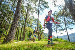 BIB: 
                            <button type="button" onclick="openModal(19289936)" class="btn btn-primary btn-sm float-right btn-popup" data-toggle="modal" data-target=".modal-high-quality">
                        <i class="fas fa-shopping-cart"></i> Add to Cart
                    </button>
                                            <button type="button" onclick="isThisMe(19289936, true)" class="btn btn-success btn-sm float-right btn-popup btn-isme hidden" data-toggle="tooltip" data-placement="bottom" title="นี่คือรูปของคุณใช่ไหม คลิกที่นี่เพื่อเอาเข้าอัลบั้ม">
                        <i class="fas fa-plus"></i> Add to album
                    </button>
                    <button type="button" onclick="isThisMe(19289936, false)" class="btn btn-warning btn-sm float-right btn-popup btn-isnotme hidden">
                        <i class="fas fa-ban"></i> Remove from album
                    </button>