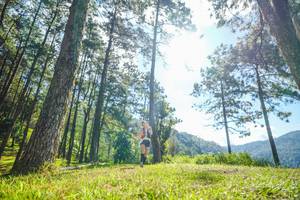 BIB: 
                            <button type="button" onclick="openModal(19281274)" class="btn btn-primary btn-sm float-right btn-popup" data-toggle="modal" data-target=".modal-high-quality">
                        <i class="fas fa-shopping-cart"></i> Add to Cart
                    </button>
                                            <button type="button" onclick="isThisMe(19281274, true)" class="btn btn-success btn-sm float-right btn-popup btn-isme hidden" data-toggle="tooltip" data-placement="bottom" title="นี่คือรูปของคุณใช่ไหม คลิกที่นี่เพื่อเอาเข้าอัลบั้ม">
                        <i class="fas fa-plus"></i> Add to album
                    </button>
                    <button type="button" onclick="isThisMe(19281274, false)" class="btn btn-warning btn-sm float-right btn-popup btn-isnotme hidden">
                        <i class="fas fa-ban"></i> Remove from album
                    </button>