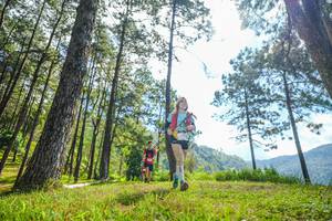 BIB: 
                            <button type="button" onclick="openModal(19285865)" class="btn btn-primary btn-sm float-right btn-popup" data-toggle="modal" data-target=".modal-high-quality">
                        <i class="fas fa-shopping-cart"></i> Add to Cart
                    </button>
                                            <button type="button" onclick="isThisMe(19285865, true)" class="btn btn-success btn-sm float-right btn-popup btn-isme hidden" data-toggle="tooltip" data-placement="bottom" title="นี่คือรูปของคุณใช่ไหม คลิกที่นี่เพื่อเอาเข้าอัลบั้ม">
                        <i class="fas fa-plus"></i> Add to album
                    </button>
                    <button type="button" onclick="isThisMe(19285865, false)" class="btn btn-warning btn-sm float-right btn-popup btn-isnotme hidden">
                        <i class="fas fa-ban"></i> Remove from album
                    </button>