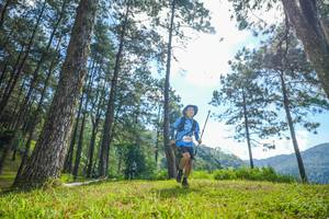 BIB: 
                            <button type="button" onclick="openModal(19281895)" class="btn btn-primary btn-sm float-right btn-popup" data-toggle="modal" data-target=".modal-high-quality">
                        <i class="fas fa-shopping-cart"></i> Add to Cart
                    </button>
                                            <button type="button" onclick="isThisMe(19281895, true)" class="btn btn-success btn-sm float-right btn-popup btn-isme hidden" data-toggle="tooltip" data-placement="bottom" title="นี่คือรูปของคุณใช่ไหม คลิกที่นี่เพื่อเอาเข้าอัลบั้ม">
                        <i class="fas fa-plus"></i> Add to album
                    </button>
                    <button type="button" onclick="isThisMe(19281895, false)" class="btn btn-warning btn-sm float-right btn-popup btn-isnotme hidden">
                        <i class="fas fa-ban"></i> Remove from album
                    </button>