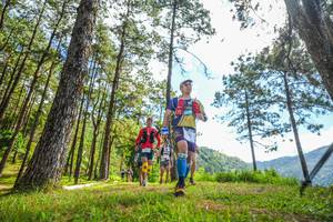 BIB: 
                            <button type="button" onclick="openModal(19290051)" class="btn btn-primary btn-sm float-right btn-popup" data-toggle="modal" data-target=".modal-high-quality">
                        <i class="fas fa-shopping-cart"></i> Add to Cart
                    </button>
                                            <button type="button" onclick="isThisMe(19290051, true)" class="btn btn-success btn-sm float-right btn-popup btn-isme hidden" data-toggle="tooltip" data-placement="bottom" title="นี่คือรูปของคุณใช่ไหม คลิกที่นี่เพื่อเอาเข้าอัลบั้ม">
                        <i class="fas fa-plus"></i> Add to album
                    </button>
                    <button type="button" onclick="isThisMe(19290051, false)" class="btn btn-warning btn-sm float-right btn-popup btn-isnotme hidden">
                        <i class="fas fa-ban"></i> Remove from album
                    </button>