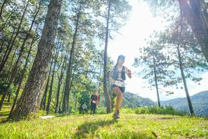 BIB: 
                            <button type="button" onclick="openModal(19285179)" class="btn btn-primary btn-sm float-right btn-popup" data-toggle="modal" data-target=".modal-high-quality">
                        <i class="fas fa-shopping-cart"></i> Add to Cart
                    </button>
                                            <button type="button" onclick="isThisMe(19285179, true)" class="btn btn-success btn-sm float-right btn-popup btn-isme hidden" data-toggle="tooltip" data-placement="bottom" title="นี่คือรูปของคุณใช่ไหม คลิกที่นี่เพื่อเอาเข้าอัลบั้ม">
                        <i class="fas fa-plus"></i> Add to album
                    </button>
                    <button type="button" onclick="isThisMe(19285179, false)" class="btn btn-warning btn-sm float-right btn-popup btn-isnotme hidden">
                        <i class="fas fa-ban"></i> Remove from album
                    </button>