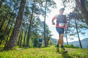 BIB: 
                            <button type="button" onclick="openModal(19282264)" class="btn btn-primary btn-sm float-right btn-popup" data-toggle="modal" data-target=".modal-high-quality">
                        <i class="fas fa-shopping-cart"></i> Add to Cart
                    </button>
                                            <button type="button" onclick="isThisMe(19282264, true)" class="btn btn-success btn-sm float-right btn-popup btn-isme hidden" data-toggle="tooltip" data-placement="bottom" title="นี่คือรูปของคุณใช่ไหม คลิกที่นี่เพื่อเอาเข้าอัลบั้ม">
                        <i class="fas fa-plus"></i> Add to album
                    </button>
                    <button type="button" onclick="isThisMe(19282264, false)" class="btn btn-warning btn-sm float-right btn-popup btn-isnotme hidden">
                        <i class="fas fa-ban"></i> Remove from album
                    </button>