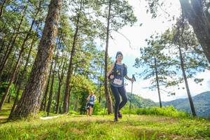 BIB: 
                            <button type="button" onclick="openModal(19291115)" class="btn btn-primary btn-sm float-right btn-popup" data-toggle="modal" data-target=".modal-high-quality">
                        <i class="fas fa-shopping-cart"></i> Add to Cart
                    </button>
                                            <button type="button" onclick="isThisMe(19291115, true)" class="btn btn-success btn-sm float-right btn-popup btn-isme hidden" data-toggle="tooltip" data-placement="bottom" title="นี่คือรูปของคุณใช่ไหม คลิกที่นี่เพื่อเอาเข้าอัลบั้ม">
                        <i class="fas fa-plus"></i> Add to album
                    </button>
                    <button type="button" onclick="isThisMe(19291115, false)" class="btn btn-warning btn-sm float-right btn-popup btn-isnotme hidden">
                        <i class="fas fa-ban"></i> Remove from album
                    </button>