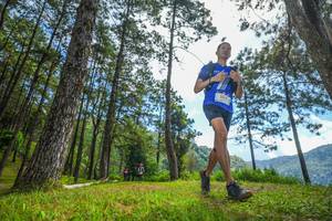 BIB: 
                            <button type="button" onclick="openModal(19287264)" class="btn btn-primary btn-sm float-right btn-popup" data-toggle="modal" data-target=".modal-high-quality">
                        <i class="fas fa-shopping-cart"></i> Add to Cart
                    </button>
                                            <button type="button" onclick="isThisMe(19287264, true)" class="btn btn-success btn-sm float-right btn-popup btn-isme hidden" data-toggle="tooltip" data-placement="bottom" title="นี่คือรูปของคุณใช่ไหม คลิกที่นี่เพื่อเอาเข้าอัลบั้ม">
                        <i class="fas fa-plus"></i> Add to album
                    </button>
                    <button type="button" onclick="isThisMe(19287264, false)" class="btn btn-warning btn-sm float-right btn-popup btn-isnotme hidden">
                        <i class="fas fa-ban"></i> Remove from album
                    </button>