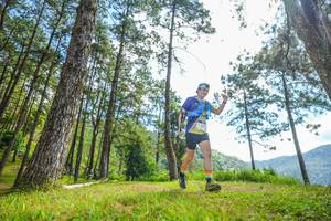 BIB: 
                            <button type="button" onclick="openModal(19288711)" class="btn btn-primary btn-sm float-right btn-popup" data-toggle="modal" data-target=".modal-high-quality">
                        <i class="fas fa-shopping-cart"></i> Add to Cart
                    </button>
                                            <button type="button" onclick="isThisMe(19288711, true)" class="btn btn-success btn-sm float-right btn-popup btn-isme hidden" data-toggle="tooltip" data-placement="bottom" title="นี่คือรูปของคุณใช่ไหม คลิกที่นี่เพื่อเอาเข้าอัลบั้ม">
                        <i class="fas fa-plus"></i> Add to album
                    </button>
                    <button type="button" onclick="isThisMe(19288711, false)" class="btn btn-warning btn-sm float-right btn-popup btn-isnotme hidden">
                        <i class="fas fa-ban"></i> Remove from album
                    </button>