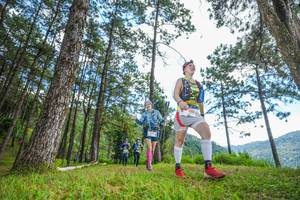 BIB: 
                            <button type="button" onclick="openModal(19288113)" class="btn btn-primary btn-sm float-right btn-popup" data-toggle="modal" data-target=".modal-high-quality">
                        <i class="fas fa-shopping-cart"></i> Add to Cart
                    </button>
                                            <button type="button" onclick="isThisMe(19288113, true)" class="btn btn-success btn-sm float-right btn-popup btn-isme hidden" data-toggle="tooltip" data-placement="bottom" title="นี่คือรูปของคุณใช่ไหม คลิกที่นี่เพื่อเอาเข้าอัลบั้ม">
                        <i class="fas fa-plus"></i> Add to album
                    </button>
                    <button type="button" onclick="isThisMe(19288113, false)" class="btn btn-warning btn-sm float-right btn-popup btn-isnotme hidden">
                        <i class="fas fa-ban"></i> Remove from album
                    </button>