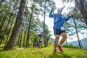 BIB: 
                            <button type="button" onclick="openModal(19286616)" class="btn btn-primary btn-sm float-right btn-popup" data-toggle="modal" data-target=".modal-high-quality">
                        <i class="fas fa-shopping-cart"></i> Add to Cart
                    </button>
                                            <button type="button" onclick="isThisMe(19286616, true)" class="btn btn-success btn-sm float-right btn-popup btn-isme hidden" data-toggle="tooltip" data-placement="bottom" title="นี่คือรูปของคุณใช่ไหม คลิกที่นี่เพื่อเอาเข้าอัลบั้ม">
                        <i class="fas fa-plus"></i> Add to album
                    </button>
                    <button type="button" onclick="isThisMe(19286616, false)" class="btn btn-warning btn-sm float-right btn-popup btn-isnotme hidden">
                        <i class="fas fa-ban"></i> Remove from album
                    </button>