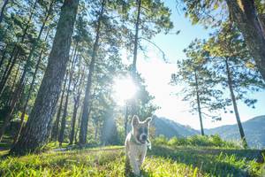 BIB: 
                            <button type="button" onclick="openModal(19278750)" class="btn btn-primary btn-sm float-right btn-popup" data-toggle="modal" data-target=".modal-high-quality">
                        <i class="fas fa-shopping-cart"></i> Add to Cart
                    </button>
                                            <button type="button" onclick="isThisMe(19278750, true)" class="btn btn-success btn-sm float-right btn-popup btn-isme hidden" data-toggle="tooltip" data-placement="bottom" title="นี่คือรูปของคุณใช่ไหม คลิกที่นี่เพื่อเอาเข้าอัลบั้ม">
                        <i class="fas fa-plus"></i> Add to album
                    </button>
                    <button type="button" onclick="isThisMe(19278750, false)" class="btn btn-warning btn-sm float-right btn-popup btn-isnotme hidden">
                        <i class="fas fa-ban"></i> Remove from album
                    </button>