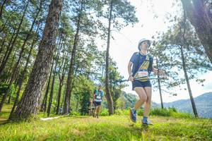 BIB: 6166
                            <button type="button" onclick="openModal(19288718)" class="btn btn-primary btn-sm float-right btn-popup" data-toggle="modal" data-target=".modal-high-quality">
                        <i class="fas fa-shopping-cart"></i> Add to Cart
                    </button>
                                            <button type="button" onclick="isThisMe(19288718, true)" class="btn btn-success btn-sm float-right btn-popup btn-isme hidden" data-toggle="tooltip" data-placement="bottom" title="นี่คือรูปของคุณใช่ไหม คลิกที่นี่เพื่อเอาเข้าอัลบั้ม">
                        <i class="fas fa-plus"></i> Add to album
                    </button>
                    <button type="button" onclick="isThisMe(19288718, false)" class="btn btn-warning btn-sm float-right btn-popup btn-isnotme hidden">
                        <i class="fas fa-ban"></i> Remove from album
                    </button>