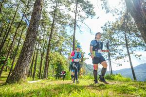 BIB: 
                            <button type="button" onclick="openModal(19289226)" class="btn btn-primary btn-sm float-right btn-popup" data-toggle="modal" data-target=".modal-high-quality">
                        <i class="fas fa-shopping-cart"></i> Add to Cart
                    </button>
                                            <button type="button" onclick="isThisMe(19289226, true)" class="btn btn-success btn-sm float-right btn-popup btn-isme hidden" data-toggle="tooltip" data-placement="bottom" title="นี่คือรูปของคุณใช่ไหม คลิกที่นี่เพื่อเอาเข้าอัลบั้ม">
                        <i class="fas fa-plus"></i> Add to album
                    </button>
                    <button type="button" onclick="isThisMe(19289226, false)" class="btn btn-warning btn-sm float-right btn-popup btn-isnotme hidden">
                        <i class="fas fa-ban"></i> Remove from album
                    </button>