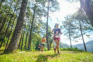 BIB: 5315
                            <button type="button" onclick="openModal(19286697)" class="btn btn-primary btn-sm float-right btn-popup" data-toggle="modal" data-target=".modal-high-quality">
                        <i class="fas fa-shopping-cart"></i> Add to Cart
                    </button>
                                            <button type="button" onclick="isThisMe(19286697, true)" class="btn btn-success btn-sm float-right btn-popup btn-isme hidden" data-toggle="tooltip" data-placement="bottom" title="นี่คือรูปของคุณใช่ไหม คลิกที่นี่เพื่อเอาเข้าอัลบั้ม">
                        <i class="fas fa-plus"></i> Add to album
                    </button>
                    <button type="button" onclick="isThisMe(19286697, false)" class="btn btn-warning btn-sm float-right btn-popup btn-isnotme hidden">
                        <i class="fas fa-ban"></i> Remove from album
                    </button>