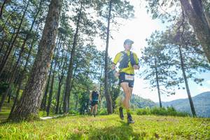 BIB: 
                            <button type="button" onclick="openModal(19283157)" class="btn btn-primary btn-sm float-right btn-popup" data-toggle="modal" data-target=".modal-high-quality">
                        <i class="fas fa-shopping-cart"></i> Add to Cart
                    </button>
                                            <button type="button" onclick="isThisMe(19283157, true)" class="btn btn-success btn-sm float-right btn-popup btn-isme hidden" data-toggle="tooltip" data-placement="bottom" title="นี่คือรูปของคุณใช่ไหม คลิกที่นี่เพื่อเอาเข้าอัลบั้ม">
                        <i class="fas fa-plus"></i> Add to album
                    </button>
                    <button type="button" onclick="isThisMe(19283157, false)" class="btn btn-warning btn-sm float-right btn-popup btn-isnotme hidden">
                        <i class="fas fa-ban"></i> Remove from album
                    </button>