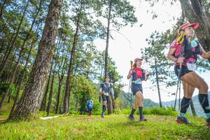 BIB: 
                            <button type="button" onclick="openModal(19288185)" class="btn btn-primary btn-sm float-right btn-popup" data-toggle="modal" data-target=".modal-high-quality">
                        <i class="fas fa-shopping-cart"></i> Add to Cart
                    </button>
                                            <button type="button" onclick="isThisMe(19288185, true)" class="btn btn-success btn-sm float-right btn-popup btn-isme hidden" data-toggle="tooltip" data-placement="bottom" title="นี่คือรูปของคุณใช่ไหม คลิกที่นี่เพื่อเอาเข้าอัลบั้ม">
                        <i class="fas fa-plus"></i> Add to album
                    </button>
                    <button type="button" onclick="isThisMe(19288185, false)" class="btn btn-warning btn-sm float-right btn-popup btn-isnotme hidden">
                        <i class="fas fa-ban"></i> Remove from album
                    </button>