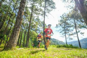 BIB: 
                            <button type="button" onclick="openModal(19287048)" class="btn btn-primary btn-sm float-right btn-popup" data-toggle="modal" data-target=".modal-high-quality">
                        <i class="fas fa-shopping-cart"></i> Add to Cart
                    </button>
                                            <button type="button" onclick="isThisMe(19287048, true)" class="btn btn-success btn-sm float-right btn-popup btn-isme hidden" data-toggle="tooltip" data-placement="bottom" title="นี่คือรูปของคุณใช่ไหม คลิกที่นี่เพื่อเอาเข้าอัลบั้ม">
                        <i class="fas fa-plus"></i> Add to album
                    </button>
                    <button type="button" onclick="isThisMe(19287048, false)" class="btn btn-warning btn-sm float-right btn-popup btn-isnotme hidden">
                        <i class="fas fa-ban"></i> Remove from album
                    </button>