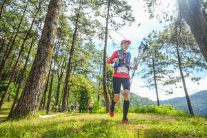 BIB: 653, 
                            <button type="button" onclick="openModal(19290867)" class="btn btn-primary btn-sm float-right btn-popup" data-toggle="modal" data-target=".modal-high-quality">
                        <i class="fas fa-shopping-cart"></i> Add to Cart
                    </button>
                                            <button type="button" onclick="isThisMe(19290867, true)" class="btn btn-success btn-sm float-right btn-popup btn-isme hidden" data-toggle="tooltip" data-placement="bottom" title="นี่คือรูปของคุณใช่ไหม คลิกที่นี่เพื่อเอาเข้าอัลบั้ม">
                        <i class="fas fa-plus"></i> Add to album
                    </button>
                    <button type="button" onclick="isThisMe(19290867, false)" class="btn btn-warning btn-sm float-right btn-popup btn-isnotme hidden">
                        <i class="fas fa-ban"></i> Remove from album
                    </button>