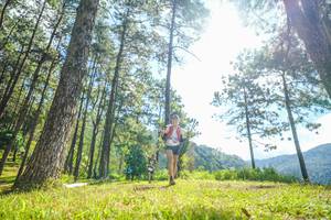 BIB: 
                            <button type="button" onclick="openModal(19285233)" class="btn btn-primary btn-sm float-right btn-popup" data-toggle="modal" data-target=".modal-high-quality">
                        <i class="fas fa-shopping-cart"></i> Add to Cart
                    </button>
                                            <button type="button" onclick="isThisMe(19285233, true)" class="btn btn-success btn-sm float-right btn-popup btn-isme hidden" data-toggle="tooltip" data-placement="bottom" title="นี่คือรูปของคุณใช่ไหม คลิกที่นี่เพื่อเอาเข้าอัลบั้ม">
                        <i class="fas fa-plus"></i> Add to album
                    </button>
                    <button type="button" onclick="isThisMe(19285233, false)" class="btn btn-warning btn-sm float-right btn-popup btn-isnotme hidden">
                        <i class="fas fa-ban"></i> Remove from album
                    </button>