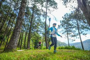 BIB: 6675
                            <button type="button" onclick="openModal(19285451)" class="btn btn-primary btn-sm float-right btn-popup" data-toggle="modal" data-target=".modal-high-quality">
                        <i class="fas fa-shopping-cart"></i> Add to Cart
                    </button>
                                            <button type="button" onclick="isThisMe(19285451, true)" class="btn btn-success btn-sm float-right btn-popup btn-isme hidden" data-toggle="tooltip" data-placement="bottom" title="นี่คือรูปของคุณใช่ไหม คลิกที่นี่เพื่อเอาเข้าอัลบั้ม">
                        <i class="fas fa-plus"></i> Add to album
                    </button>
                    <button type="button" onclick="isThisMe(19285451, false)" class="btn btn-warning btn-sm float-right btn-popup btn-isnotme hidden">
                        <i class="fas fa-ban"></i> Remove from album
                    </button>