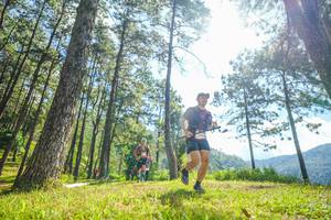 BIB: 
                            <button type="button" onclick="openModal(19285337)" class="btn btn-primary btn-sm float-right btn-popup" data-toggle="modal" data-target=".modal-high-quality">
                        <i class="fas fa-shopping-cart"></i> Add to Cart
                    </button>
                                            <button type="button" onclick="isThisMe(19285337, true)" class="btn btn-success btn-sm float-right btn-popup btn-isme hidden" data-toggle="tooltip" data-placement="bottom" title="นี่คือรูปของคุณใช่ไหม คลิกที่นี่เพื่อเอาเข้าอัลบั้ม">
                        <i class="fas fa-plus"></i> Add to album
                    </button>
                    <button type="button" onclick="isThisMe(19285337, false)" class="btn btn-warning btn-sm float-right btn-popup btn-isnotme hidden">
                        <i class="fas fa-ban"></i> Remove from album
                    </button>