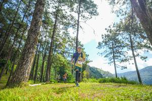 BIB: 
                            <button type="button" onclick="openModal(19286990)" class="btn btn-primary btn-sm float-right btn-popup" data-toggle="modal" data-target=".modal-high-quality">
                        <i class="fas fa-shopping-cart"></i> Add to Cart
                    </button>
                                            <button type="button" onclick="isThisMe(19286990, true)" class="btn btn-success btn-sm float-right btn-popup btn-isme hidden" data-toggle="tooltip" data-placement="bottom" title="นี่คือรูปของคุณใช่ไหม คลิกที่นี่เพื่อเอาเข้าอัลบั้ม">
                        <i class="fas fa-plus"></i> Add to album
                    </button>
                    <button type="button" onclick="isThisMe(19286990, false)" class="btn btn-warning btn-sm float-right btn-popup btn-isnotme hidden">
                        <i class="fas fa-ban"></i> Remove from album
                    </button>