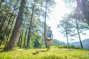 BIB: 
                            <button type="button" onclick="openModal(19285303)" class="btn btn-primary btn-sm float-right btn-popup" data-toggle="modal" data-target=".modal-high-quality">
                        <i class="fas fa-shopping-cart"></i> Add to Cart
                    </button>
                                            <button type="button" onclick="isThisMe(19285303, true)" class="btn btn-success btn-sm float-right btn-popup btn-isme hidden" data-toggle="tooltip" data-placement="bottom" title="นี่คือรูปของคุณใช่ไหม คลิกที่นี่เพื่อเอาเข้าอัลบั้ม">
                        <i class="fas fa-plus"></i> Add to album
                    </button>
                    <button type="button" onclick="isThisMe(19285303, false)" class="btn btn-warning btn-sm float-right btn-popup btn-isnotme hidden">
                        <i class="fas fa-ban"></i> Remove from album
                    </button>