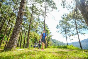 BIB: 
                            <button type="button" onclick="openModal(19289745)" class="btn btn-primary btn-sm float-right btn-popup" data-toggle="modal" data-target=".modal-high-quality">
                        <i class="fas fa-shopping-cart"></i> Add to Cart
                    </button>
                                            <button type="button" onclick="isThisMe(19289745, true)" class="btn btn-success btn-sm float-right btn-popup btn-isme hidden" data-toggle="tooltip" data-placement="bottom" title="นี่คือรูปของคุณใช่ไหม คลิกที่นี่เพื่อเอาเข้าอัลบั้ม">
                        <i class="fas fa-plus"></i> Add to album
                    </button>
                    <button type="button" onclick="isThisMe(19289745, false)" class="btn btn-warning btn-sm float-right btn-popup btn-isnotme hidden">
                        <i class="fas fa-ban"></i> Remove from album
                    </button>