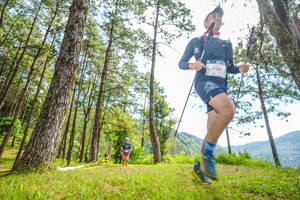 BIB: 626
                            <button type="button" onclick="openModal(19288460)" class="btn btn-primary btn-sm float-right btn-popup" data-toggle="modal" data-target=".modal-high-quality">
                        <i class="fas fa-shopping-cart"></i> Add to Cart
                    </button>
                                            <button type="button" onclick="isThisMe(19288460, true)" class="btn btn-success btn-sm float-right btn-popup btn-isme hidden" data-toggle="tooltip" data-placement="bottom" title="นี่คือรูปของคุณใช่ไหม คลิกที่นี่เพื่อเอาเข้าอัลบั้ม">
                        <i class="fas fa-plus"></i> Add to album
                    </button>
                    <button type="button" onclick="isThisMe(19288460, false)" class="btn btn-warning btn-sm float-right btn-popup btn-isnotme hidden">
                        <i class="fas fa-ban"></i> Remove from album
                    </button>