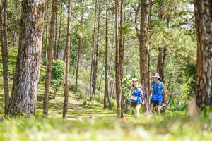 BIB: 
                            <button type="button" onclick="openModal(19292593)" class="btn btn-primary btn-sm float-right btn-popup" data-toggle="modal" data-target=".modal-high-quality">
                        <i class="fas fa-shopping-cart"></i> Add to Cart
                    </button>
                                            <button type="button" onclick="isThisMe(19292593, true)" class="btn btn-success btn-sm float-right btn-popup btn-isme hidden" data-toggle="tooltip" data-placement="bottom" title="นี่คือรูปของคุณใช่ไหม คลิกที่นี่เพื่อเอาเข้าอัลบั้ม">
                        <i class="fas fa-plus"></i> Add to album
                    </button>
                    <button type="button" onclick="isThisMe(19292593, false)" class="btn btn-warning btn-sm float-right btn-popup btn-isnotme hidden">
                        <i class="fas fa-ban"></i> Remove from album
                    </button>