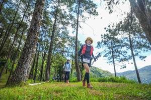 BIB: 
                            <button type="button" onclick="openModal(19290138)" class="btn btn-primary btn-sm float-right btn-popup" data-toggle="modal" data-target=".modal-high-quality">
                        <i class="fas fa-shopping-cart"></i> Add to Cart
                    </button>
                                            <button type="button" onclick="isThisMe(19290138, true)" class="btn btn-success btn-sm float-right btn-popup btn-isme hidden" data-toggle="tooltip" data-placement="bottom" title="นี่คือรูปของคุณใช่ไหม คลิกที่นี่เพื่อเอาเข้าอัลบั้ม">
                        <i class="fas fa-plus"></i> Add to album
                    </button>
                    <button type="button" onclick="isThisMe(19290138, false)" class="btn btn-warning btn-sm float-right btn-popup btn-isnotme hidden">
                        <i class="fas fa-ban"></i> Remove from album
                    </button>