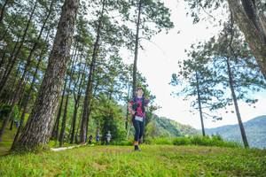 BIB: 
                            <button type="button" onclick="openModal(19287777)" class="btn btn-primary btn-sm float-right btn-popup" data-toggle="modal" data-target=".modal-high-quality">
                        <i class="fas fa-shopping-cart"></i> Add to Cart
                    </button>
                                            <button type="button" onclick="isThisMe(19287777, true)" class="btn btn-success btn-sm float-right btn-popup btn-isme hidden" data-toggle="tooltip" data-placement="bottom" title="นี่คือรูปของคุณใช่ไหม คลิกที่นี่เพื่อเอาเข้าอัลบั้ม">
                        <i class="fas fa-plus"></i> Add to album
                    </button>
                    <button type="button" onclick="isThisMe(19287777, false)" class="btn btn-warning btn-sm float-right btn-popup btn-isnotme hidden">
                        <i class="fas fa-ban"></i> Remove from album
                    </button>