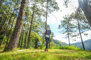 BIB: 
                            <button type="button" onclick="openModal(19291114)" class="btn btn-primary btn-sm float-right btn-popup" data-toggle="modal" data-target=".modal-high-quality">
                        <i class="fas fa-shopping-cart"></i> Add to Cart
                    </button>
                                            <button type="button" onclick="isThisMe(19291114, true)" class="btn btn-success btn-sm float-right btn-popup btn-isme hidden" data-toggle="tooltip" data-placement="bottom" title="นี่คือรูปของคุณใช่ไหม คลิกที่นี่เพื่อเอาเข้าอัลบั้ม">
                        <i class="fas fa-plus"></i> Add to album
                    </button>
                    <button type="button" onclick="isThisMe(19291114, false)" class="btn btn-warning btn-sm float-right btn-popup btn-isnotme hidden">
                        <i class="fas fa-ban"></i> Remove from album
                    </button>