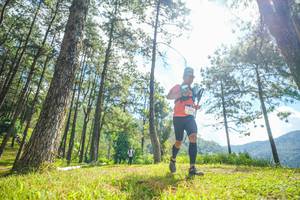 BIB: 
                            <button type="button" onclick="openModal(19286665)" class="btn btn-primary btn-sm float-right btn-popup" data-toggle="modal" data-target=".modal-high-quality">
                        <i class="fas fa-shopping-cart"></i> Add to Cart
                    </button>
                                            <button type="button" onclick="isThisMe(19286665, true)" class="btn btn-success btn-sm float-right btn-popup btn-isme hidden" data-toggle="tooltip" data-placement="bottom" title="นี่คือรูปของคุณใช่ไหม คลิกที่นี่เพื่อเอาเข้าอัลบั้ม">
                        <i class="fas fa-plus"></i> Add to album
                    </button>
                    <button type="button" onclick="isThisMe(19286665, false)" class="btn btn-warning btn-sm float-right btn-popup btn-isnotme hidden">
                        <i class="fas fa-ban"></i> Remove from album
                    </button>