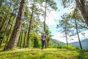 BIB: 
                            <button type="button" onclick="openModal(19291515)" class="btn btn-primary btn-sm float-right btn-popup" data-toggle="modal" data-target=".modal-high-quality">
                        <i class="fas fa-shopping-cart"></i> Add to Cart
                    </button>
                                            <button type="button" onclick="isThisMe(19291515, true)" class="btn btn-success btn-sm float-right btn-popup btn-isme hidden" data-toggle="tooltip" data-placement="bottom" title="นี่คือรูปของคุณใช่ไหม คลิกที่นี่เพื่อเอาเข้าอัลบั้ม">
                        <i class="fas fa-plus"></i> Add to album
                    </button>
                    <button type="button" onclick="isThisMe(19291515, false)" class="btn btn-warning btn-sm float-right btn-popup btn-isnotme hidden">
                        <i class="fas fa-ban"></i> Remove from album
                    </button>