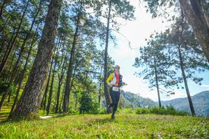 BIB: 
                            <button type="button" onclick="openModal(19283029)" class="btn btn-primary btn-sm float-right btn-popup" data-toggle="modal" data-target=".modal-high-quality">
                        <i class="fas fa-shopping-cart"></i> Add to Cart
                    </button>
                                            <button type="button" onclick="isThisMe(19283029, true)" class="btn btn-success btn-sm float-right btn-popup btn-isme hidden" data-toggle="tooltip" data-placement="bottom" title="นี่คือรูปของคุณใช่ไหม คลิกที่นี่เพื่อเอาเข้าอัลบั้ม">
                        <i class="fas fa-plus"></i> Add to album
                    </button>
                    <button type="button" onclick="isThisMe(19283029, false)" class="btn btn-warning btn-sm float-right btn-popup btn-isnotme hidden">
                        <i class="fas fa-ban"></i> Remove from album
                    </button>