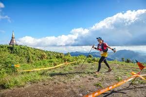 BIB: 
                            <button type="button" onclick="openModal(19296600)" class="btn btn-primary btn-sm float-right btn-popup" data-toggle="modal" data-target=".modal-high-quality">
                        <i class="fas fa-shopping-cart"></i> Add to Cart
                    </button>
                                            <button type="button" onclick="isThisMe(19296600, true)" class="btn btn-success btn-sm float-right btn-popup btn-isme hidden" data-toggle="tooltip" data-placement="bottom" title="นี่คือรูปของคุณใช่ไหม คลิกที่นี่เพื่อเอาเข้าอัลบั้ม">
                        <i class="fas fa-plus"></i> Add to album
                    </button>
                    <button type="button" onclick="isThisMe(19296600, false)" class="btn btn-warning btn-sm float-right btn-popup btn-isnotme hidden">
                        <i class="fas fa-ban"></i> Remove from album
                    </button>