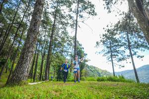 BIB: 
                            <button type="button" onclick="openModal(19287829)" class="btn btn-primary btn-sm float-right btn-popup" data-toggle="modal" data-target=".modal-high-quality">
                        <i class="fas fa-shopping-cart"></i> Add to Cart
                    </button>
                                            <button type="button" onclick="isThisMe(19287829, true)" class="btn btn-success btn-sm float-right btn-popup btn-isme hidden" data-toggle="tooltip" data-placement="bottom" title="นี่คือรูปของคุณใช่ไหม คลิกที่นี่เพื่อเอาเข้าอัลบั้ม">
                        <i class="fas fa-plus"></i> Add to album
                    </button>
                    <button type="button" onclick="isThisMe(19287829, false)" class="btn btn-warning btn-sm float-right btn-popup btn-isnotme hidden">
                        <i class="fas fa-ban"></i> Remove from album
                    </button>