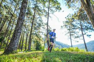 BIB: 
                            <button type="button" onclick="openModal(19279051)" class="btn btn-primary btn-sm float-right btn-popup" data-toggle="modal" data-target=".modal-high-quality">
                        <i class="fas fa-shopping-cart"></i> Add to Cart
                    </button>
                                            <button type="button" onclick="isThisMe(19279051, true)" class="btn btn-success btn-sm float-right btn-popup btn-isme hidden" data-toggle="tooltip" data-placement="bottom" title="นี่คือรูปของคุณใช่ไหม คลิกที่นี่เพื่อเอาเข้าอัลบั้ม">
                        <i class="fas fa-plus"></i> Add to album
                    </button>
                    <button type="button" onclick="isThisMe(19279051, false)" class="btn btn-warning btn-sm float-right btn-popup btn-isnotme hidden">
                        <i class="fas fa-ban"></i> Remove from album
                    </button>