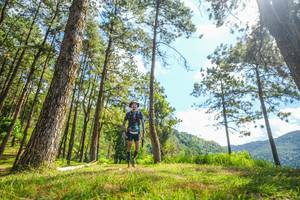 BIB: 
                            <button type="button" onclick="openModal(19291560)" class="btn btn-primary btn-sm float-right btn-popup" data-toggle="modal" data-target=".modal-high-quality">
                        <i class="fas fa-shopping-cart"></i> Add to Cart
                    </button>
                                            <button type="button" onclick="isThisMe(19291560, true)" class="btn btn-success btn-sm float-right btn-popup btn-isme hidden" data-toggle="tooltip" data-placement="bottom" title="นี่คือรูปของคุณใช่ไหม คลิกที่นี่เพื่อเอาเข้าอัลบั้ม">
                        <i class="fas fa-plus"></i> Add to album
                    </button>
                    <button type="button" onclick="isThisMe(19291560, false)" class="btn btn-warning btn-sm float-right btn-popup btn-isnotme hidden">
                        <i class="fas fa-ban"></i> Remove from album
                    </button>