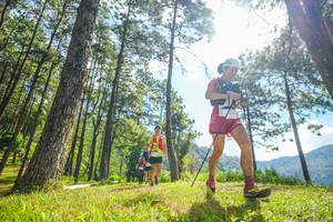 BIB: 
                            <button type="button" onclick="openModal(19286700)" class="btn btn-primary btn-sm float-right btn-popup" data-toggle="modal" data-target=".modal-high-quality">
                        <i class="fas fa-shopping-cart"></i> Add to Cart
                    </button>
                                            <button type="button" onclick="isThisMe(19286700, true)" class="btn btn-success btn-sm float-right btn-popup btn-isme hidden" data-toggle="tooltip" data-placement="bottom" title="นี่คือรูปของคุณใช่ไหม คลิกที่นี่เพื่อเอาเข้าอัลบั้ม">
                        <i class="fas fa-plus"></i> Add to album
                    </button>
                    <button type="button" onclick="isThisMe(19286700, false)" class="btn btn-warning btn-sm float-right btn-popup btn-isnotme hidden">
                        <i class="fas fa-ban"></i> Remove from album
                    </button>